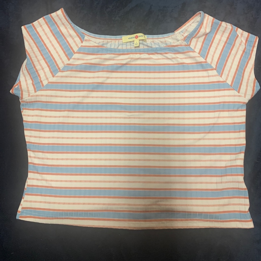 Cute Ribbed Crop Top